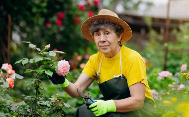 Bahçesinde çalışan şapkalı bir bahçıvan kadın ve mezhepçilerle çiçekleri buduyor. Bahçe işleri, çiçek ve bitkilerle ilgilenmek ve büyümek..