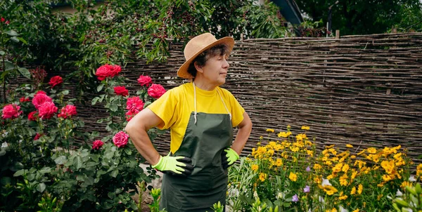 Retrato Una Jardinera Mayor Con Sombrero Trabajando Patio Con Rosas —  Fotos de Stock