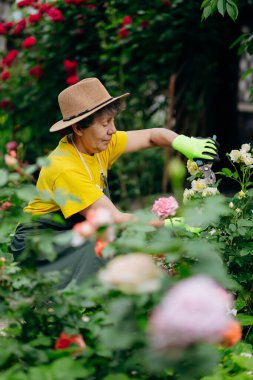 Bahçesinde iş aletleriyle çalışan şapkalı kıdemli kadın bahçıvan. Bahçe işleri, çiçek ve bitkilerle ilgilenmek ve büyümek..