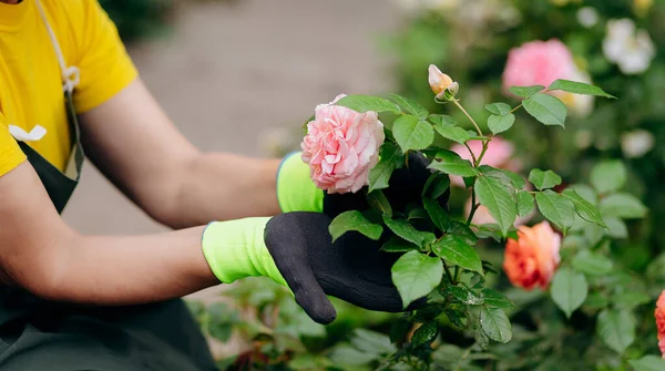 Een Tuinvrouw Die Haar Tuin Werkt Het Concept Van Tuinieren — Stockfoto