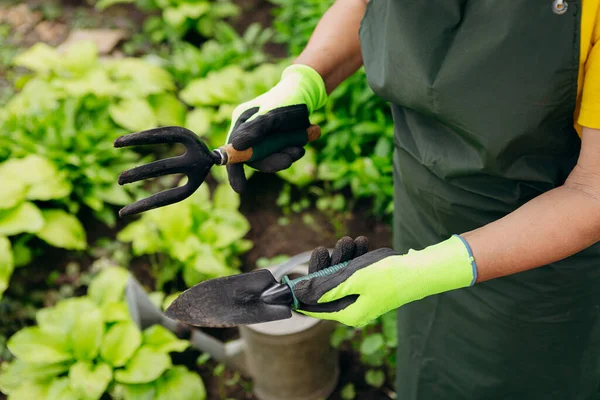 Uma Mulher Jardineira Trabalhar Quintal Conceito Jardinagem Cultivo Cuidado Flores — Fotografia de Stock