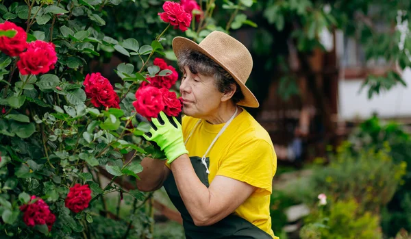 Jardineiro Mulher Sênior Chapéu Que Trabalha Seu Quintal Cortando Flores — Fotografia de Stock