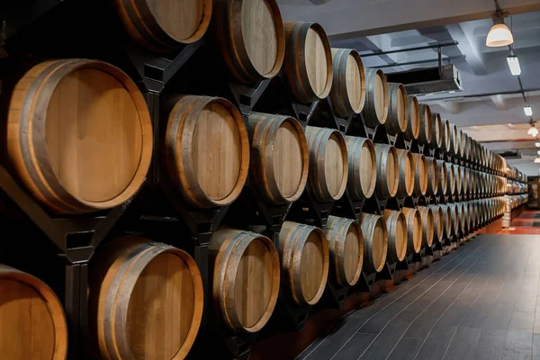 Velhos Barris Madeira Tradicionais Com Vinho Num Cofre Alinhado Numa — Fotografia de Stock