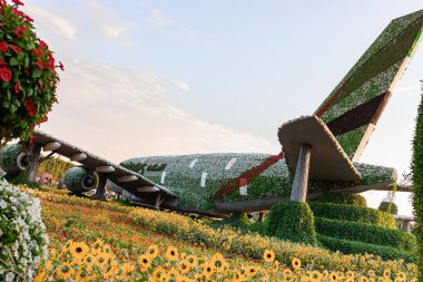 DUBAI, BAE - 09 Kasım 2021: Emirates Airbus A380 Dubai 'deki Miracle Garden' da yapılmış. Birleşik Arap Emirlikleri, Orta Doğu
