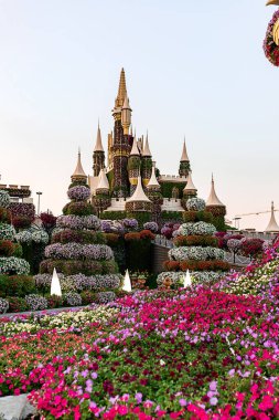 Dubai, BİRLİK ARAB EMIRATES - Kasım 09, 2021: Güneşli bir günde Dubai mucizevi bahçesi, Birleşik Arap Emirlikleri, Orta Doğu