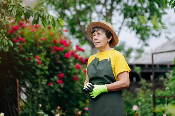 마당에서 일하는 모자를 나이든 정원사의 정원가꾸기 식물기르기 가꾸기의 — 스톡 사진