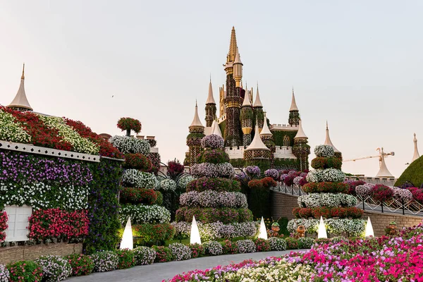 Dubai United Arab Emirates November 2021 Dubai Miracle Garden Sunny — Stock Photo, Image