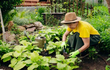 Bahçesinde iş aletleriyle çalışan şapkalı kıdemli kadın bahçıvan. Bahçe işleri, çiçek ve bitkilerle ilgilenmek ve büyümek..