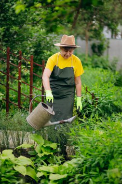 Bahçesinde iş aletleriyle çalışan şapkalı kıdemli kadın bahçıvan. Bahçe işleri, çiçek ve bitkilerle ilgilenmek ve büyümek..