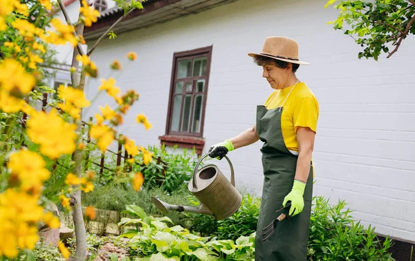 Jardineiro Mulher Sênior Chapéu Que Trabalha Seu Quintal Com Ferramentas — Fotografia de Stock