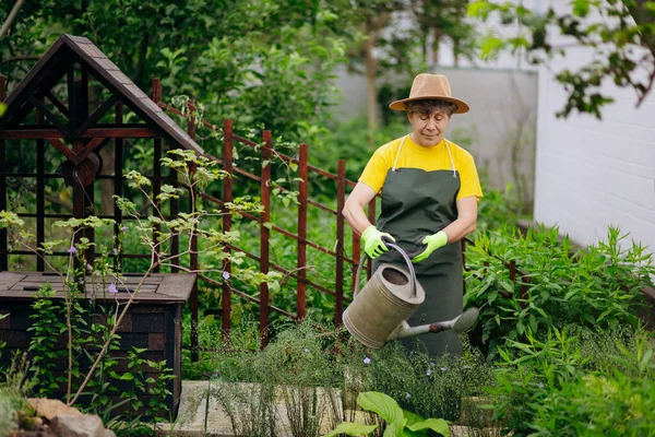 Giardiniere Donna Anziana Cappello Che Lavora Nel Suo Cortile Con — Foto Stock