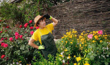 Bahçesinde çalışan şapkalı bir bahçıvan kadın ve mezhepçilerle çiçekleri buduyor. Bahçe işleri, çiçek ve bitkilerle ilgilenmek ve büyümek..