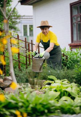 Bahçesinde çalışan bir bahçıvan kadının portresi. Bahçe işleri, çiçek ve bitkilerle ilgilenmek ve büyümek..
