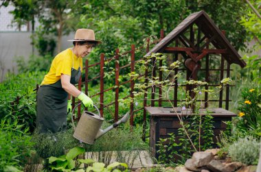 Bahçesinde çalışan bir bahçıvan kadının portresi. Bahçe işleri, çiçek ve bitkilerle ilgilenmek ve büyümek..