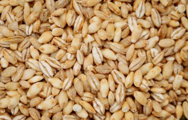 Arpa, doku arka planında inliyor. Yüksek kalite fotoğraf