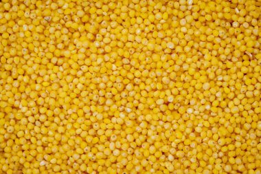 Millet cilalı doku arka planı. Yüksek kalite fotoğraf