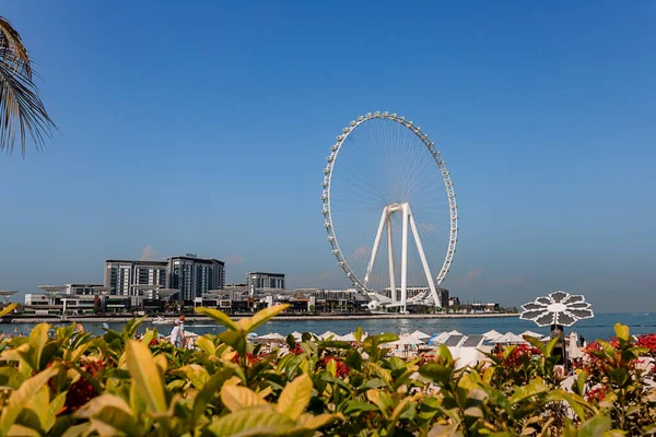 Dubai, BAE, Kasım 2021, JBR Sahili 'nden Bluewaters Adası' na doğru dünyanın en uzun ve en büyük gözlemi olan Ain Dubai 'ye veya dönme dolaba bakan insanlar,