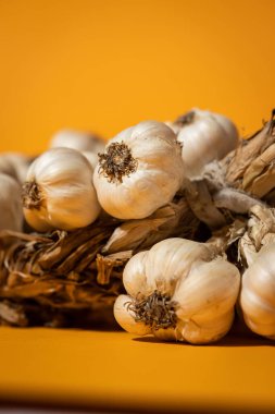 Sarı arka planda mis kokulu sarımsak çelengi var. Tarım ve tarım
