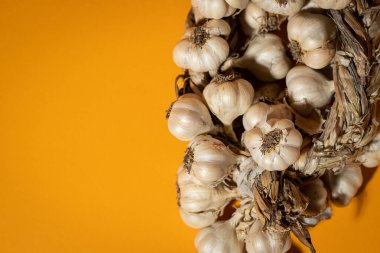 Sarı arka planda mis kokulu sarımsak çelengi var. Tarım ve tarım