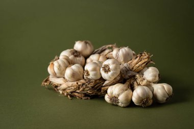 Zeytin zemininde mis kokulu sarımsak çelengi var. Tarım ve tarım