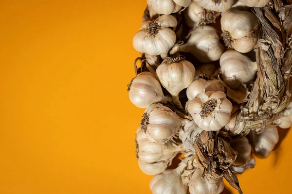 Sarı arka planda mis kokulu sarımsak çelengi var. Tarım ve tarım