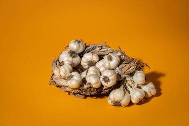 Sarı arka planda mis kokulu sarımsak çelengi var. Tarım ve tarım