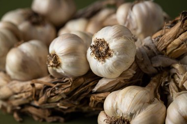 Zeytin zemininde mis kokulu sarımsak çelengi var. Tarım ve tarım