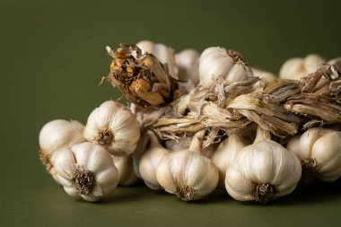 Zeytin zemininde mis kokulu sarımsak çelengi var. Tarım ve tarım