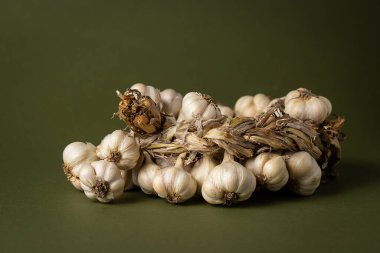 Zeytin zemininde mis kokulu sarımsak çelengi var. Tarım ve tarım