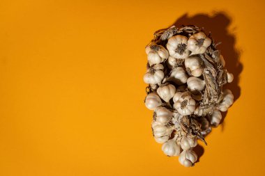 Sarı arka planda mis kokulu sarımsak çelengi var. Tarım ve tarım