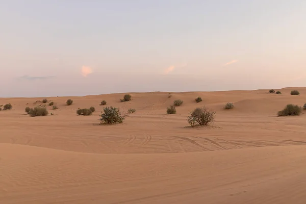 Woestijnzonsondergang Met Lege Duinen Dubai Abu Dhabi Verenigde Arabische Emiraten — Stockfoto