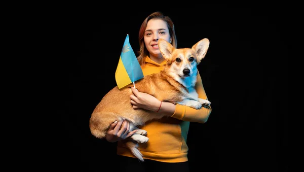 Hermosa Chica Con Pembroke Corgi Galés Con Bandera Ucrania Sobre — Foto de Stock