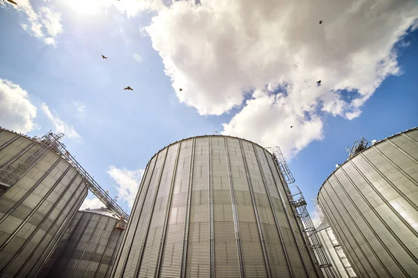 Metal Elevator Grain Silo Agriculture Zone Grain Warehouse Depository Important — Foto de Stock