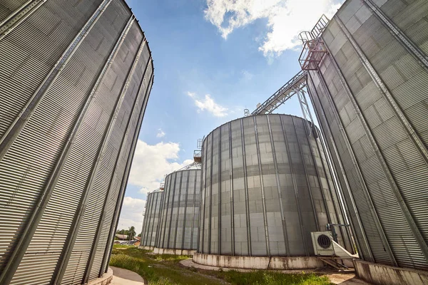 Metal Elevator Grain Silo Agriculture Zone Grain Warehouse Depository Important — Foto de Stock