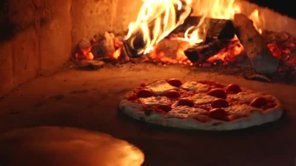 Chef Putting Margarita Pizza Shovel Wood Fired Oven — Stockvideo
