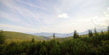 Yazın Ukrayna Karpatları 'nda dağ manzarası