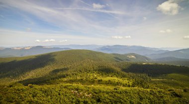 Yazın Ukrayna Karpatları 'nda dağ manzarası