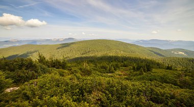 Yazın Ukrayna Karpatları 'nda dağ manzarası
