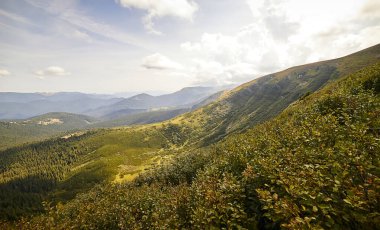 Yazın Ukrayna Karpatları 'nda dağ manzarası