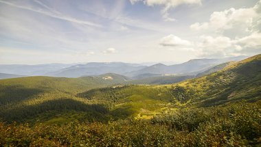 Yazın Ukrayna Karpatları 'nda dağ manzarası