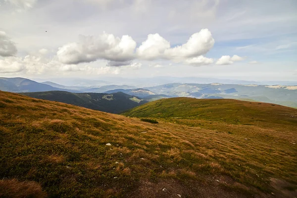Yazın Ukrayna Karpatları 'nda dağ manzarası