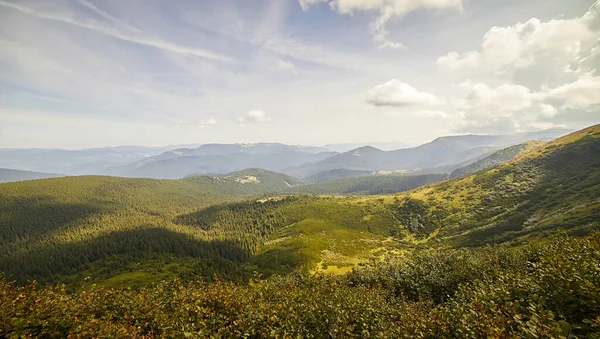 Yazın Ukrayna Karpatları 'nda dağ manzarası