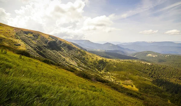 Yazın Ukrayna Karpatları 'nda dağ manzarası