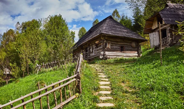 전통적 카르파티아 주택과 가정집 그래픽 박물관 Old Village Kolochava Transcarpadiia — 스톡 사진