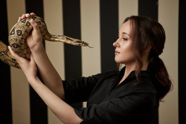 Güzel bayan doktor modern veteriner kliniğinde yılanı muayene ediyor. Tıbbın sembolü