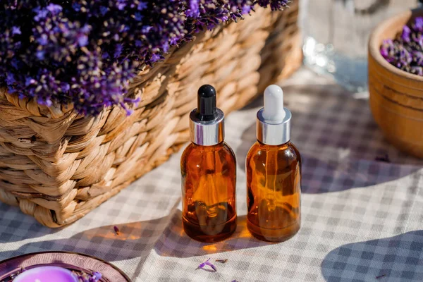 Dropper bottle with lavender cosmetic oil or hydrolate against lavender flowers field as background with copy space. Herbal cosmetics and modern apothecary concept