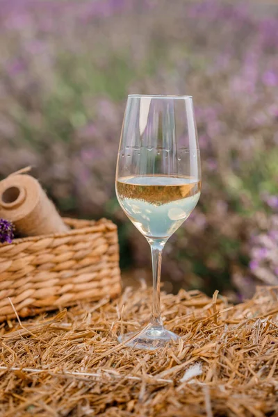 Glass of white wine in a lavender field in Provance. Violet flowers on the background