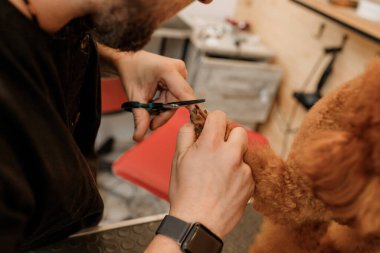 Profesyonel bir erkek kuaförün, profesyonel ekipmanlarla kuaför kuaföründe kuaför kuaförünün saçını kesmesi. 