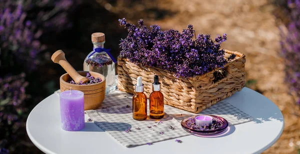 Dropper bottle with lavender cosmetic oil or hydrolate against lavender flowers field as background with copy space. Herbal cosmetics and modern apothecary concept