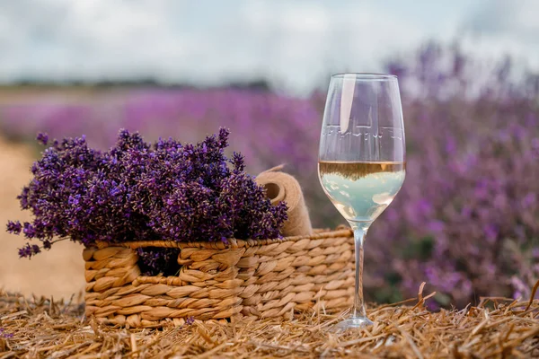 Glass of white wine in a lavender field in Provance. Violet flowers on the background